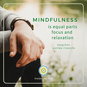 FM_28_Mindfulness is equal parts...