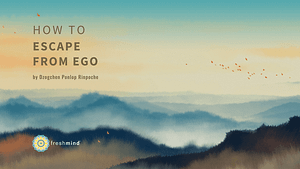 HOW TO ESCAPE FROM EGO