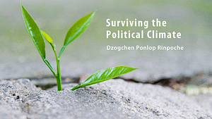 Sobrevivir al clima político