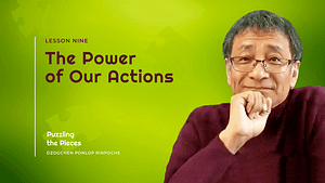 THE POWER OF OUR ACTION