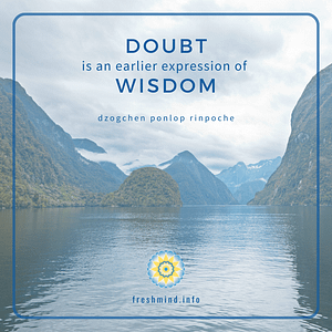 FM_06_Doubt is an earlier expression of Wisdom