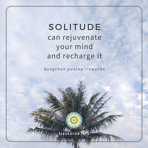 FM_24_Solitude can rejuvenate your mind
