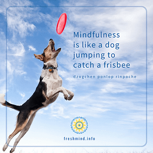 FM_18_Mindfulness is like a dog...