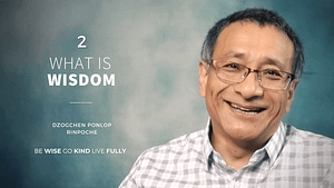 What is Wisdom