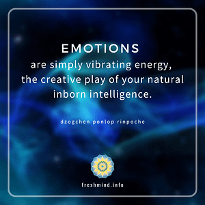 FM_38_Emotions are simply vibrating energy