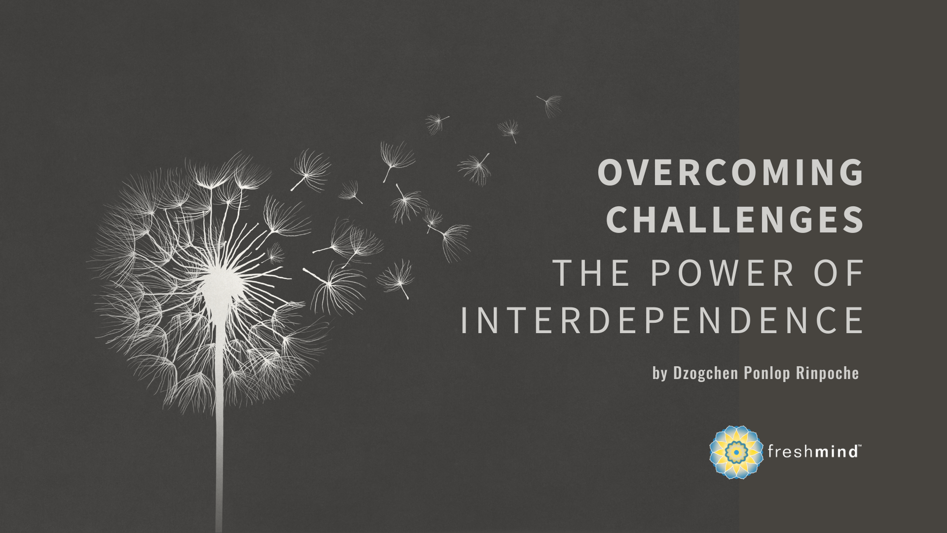 OVERCOMING CHALLENGES, THE POWER OF INTERDEPENDENCE