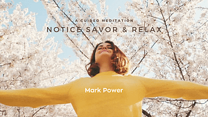 Notice Savor & Relax