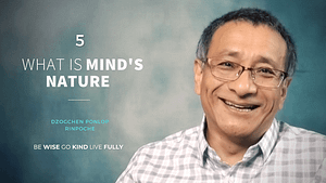 What is Mind's Future