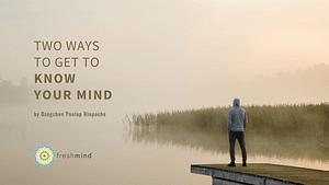 Two Ways to get to Know Your Mind