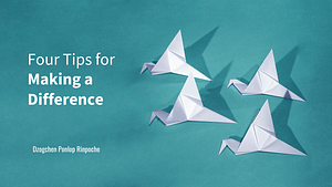 Four Tips for Making a Difference