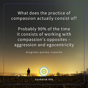 FM 93_What does the practice of compassion...