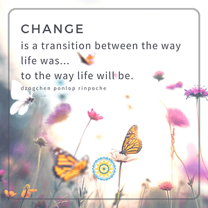 FM_71_Change is a transition...